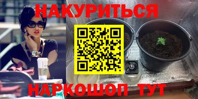 PSILOCYBIN Бугуруслан
