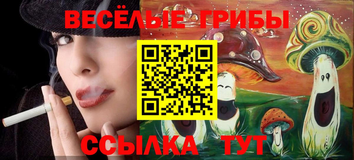Псилоцибиновые грибы мицелий  Вход с VPN  Тейково 